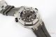 Swiss Audemars Piguet Royal Oak Offshore Diver SS Grey Dial Swiss 9015 Watch (6)_th.jpg